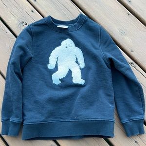 Boy’s  size 6-7 black Hanna Andersson sweatshirt.